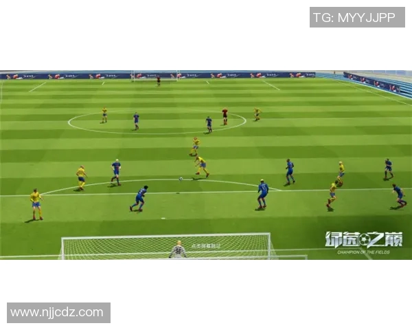 法国足球传奇球星风采与成就全解析